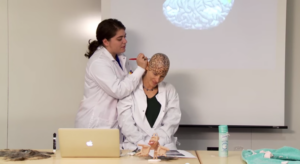 Nancy Kanwisher's neuroanatomy lesson