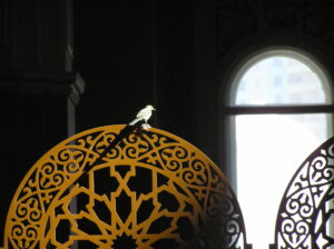 Bird in Mosque