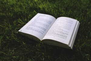 Book in grass