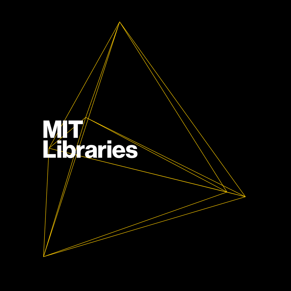 MIT Media Library