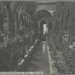 Black and white photograph of the Generalife: Patio de la Acequia: view along central axis.