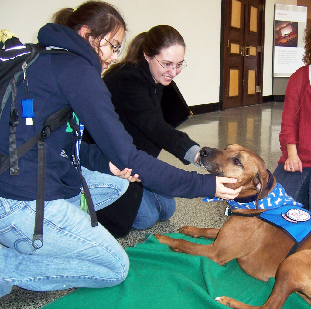therapy dogs at MIT2013