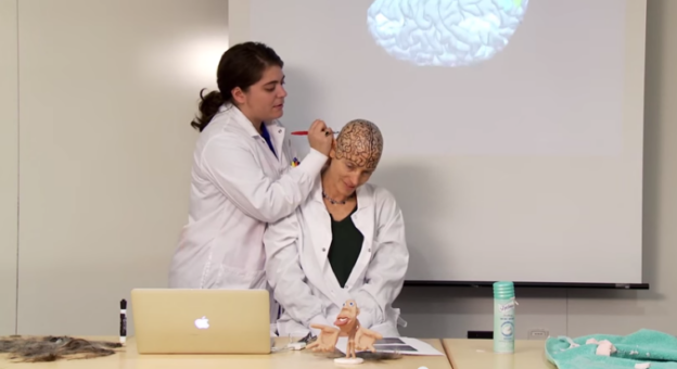 Nancy Kanwisher’s neuroanatomy lesson News