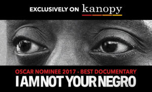 I Am Not Your Negro film image