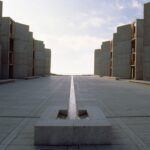 Salk Institute