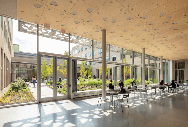 A room with a wall of windows overlooks a light-filled courtyard; there are tables and chairs, a perforated wood ceiling, and geometric shadows cast on the floor