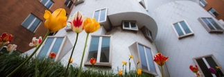 “Angles” Showcase: Celebrating MIT Student Authors