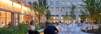 Building 14 Courtyard receives design award from Boston Society of Landscape Architects
