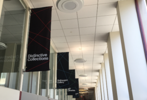 Vertical banners in the hallway of MIT's Building 14 read "Distinctive Collections," "Maihaugen Gallert," and "MIT Libraries."