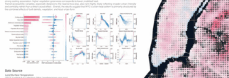 Geospatial Data Visualization Contest winners announced
